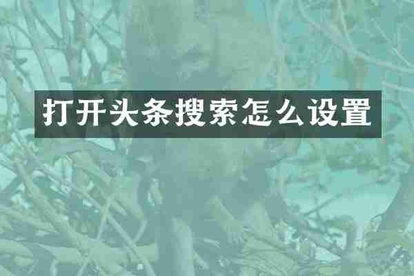 打开头条搜索怎么设置