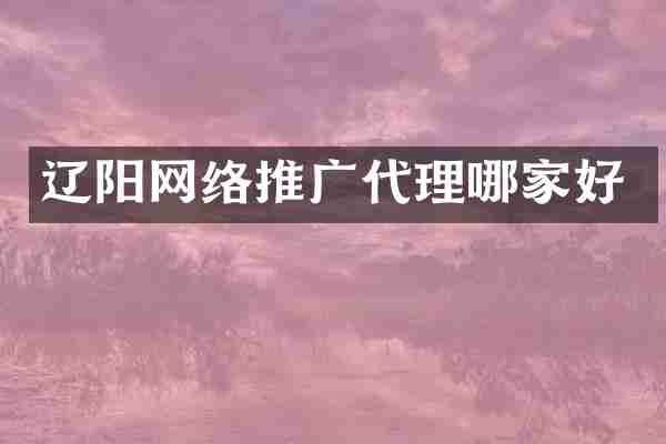 辽阳网络推广代理哪家好