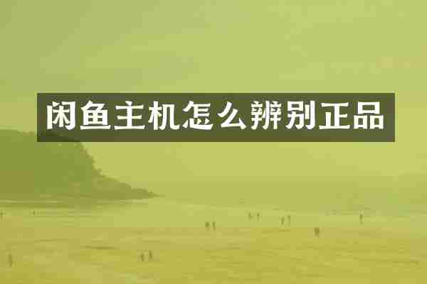 闲鱼主机怎么辨别正品