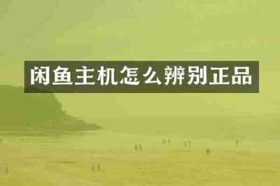 闲鱼主机怎么辨别正品