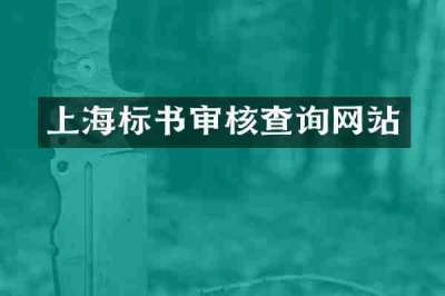 上海标书审核查询网站