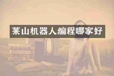 莱山机器人编程哪家好