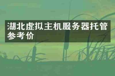 湖北虚拟主机服务器托管参考价