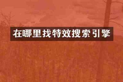 在哪里找特效搜索引擎