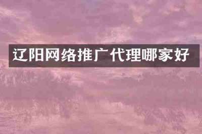 辽阳网络推广代理哪家好