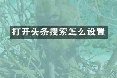 打开头条搜索怎么设置