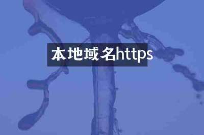 本地域名https