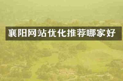 襄阳网站优化推荐哪家好