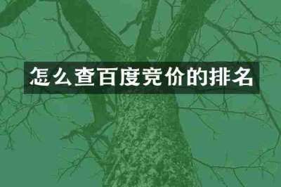 怎么查百度竞价的排名