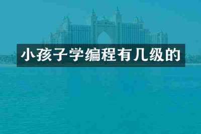 小孩子学编程有几级的