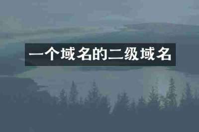 一个域名的二级域名