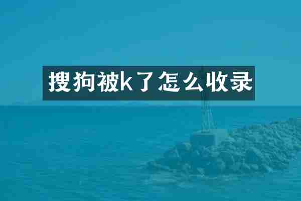 搜狗被k了怎么收录