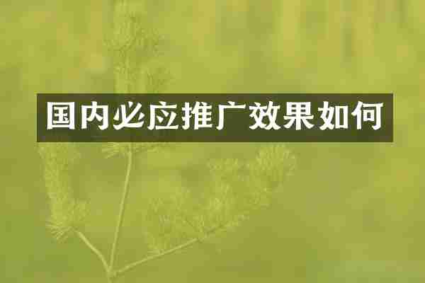国内必应推广效果如何