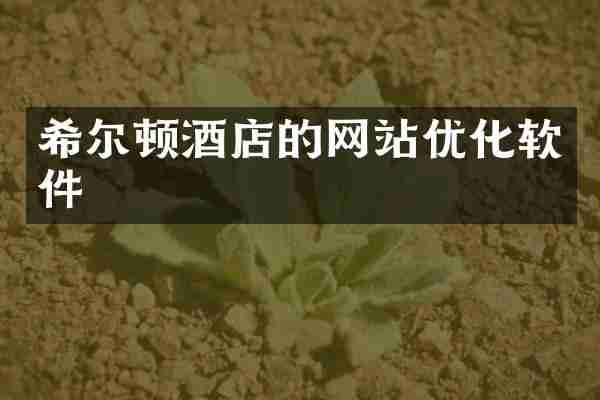 希尔顿酒店的网站优化软件