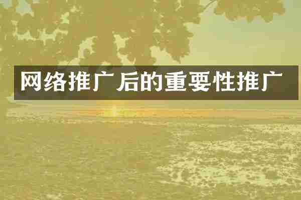 网络推广后的重要性推广