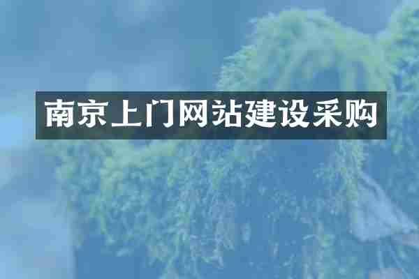 南京上门网站建设采购