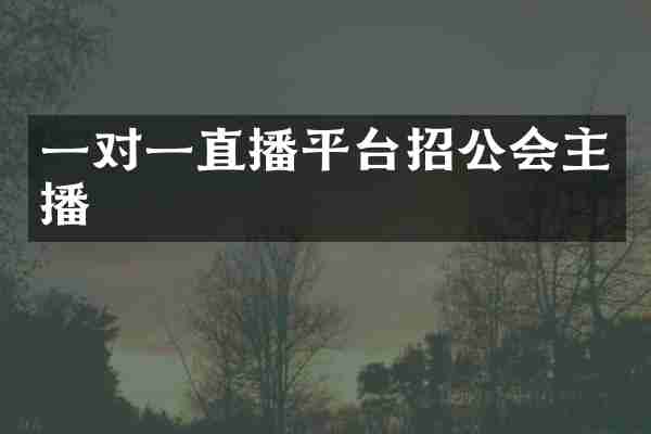 一对一直播平台招公会主播