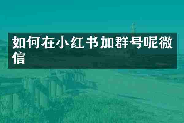 如何在小红书加群号呢微信