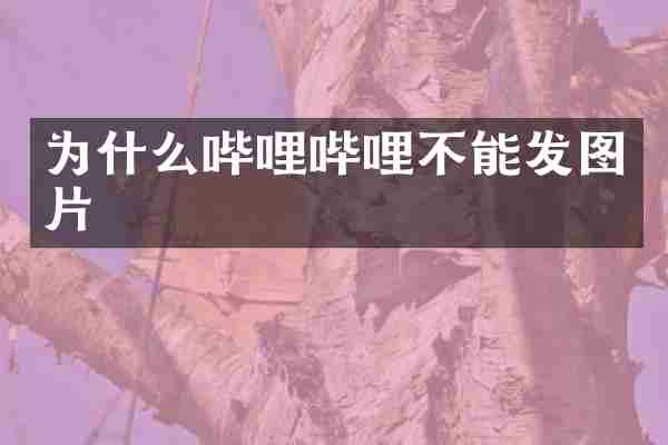 为什么哔哩哔哩不能发图片