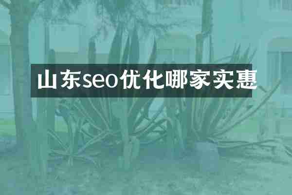 山东seo优化哪家实惠