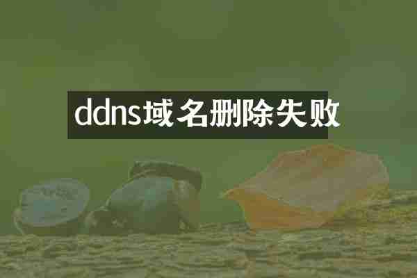 ddns域名删除失败