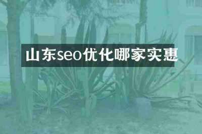 山东seo优化哪家实惠