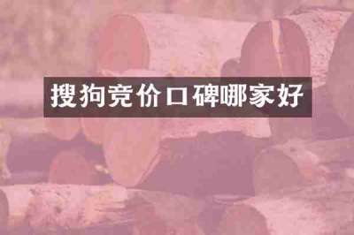 搜狗竞价口碑哪家好