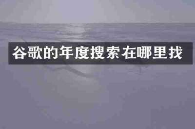 谷歌的年度搜索在哪里找