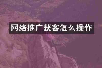 网络推广获客怎么操作