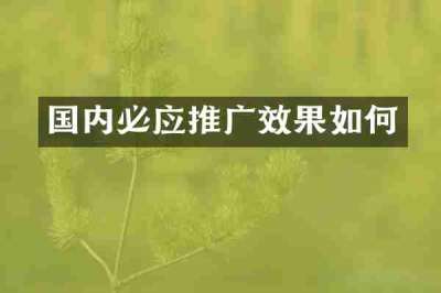 国内必应推广效果如何