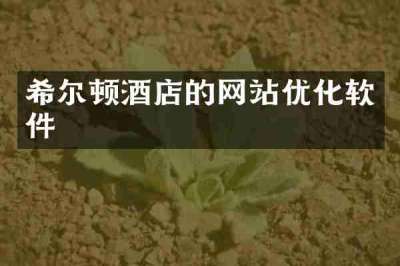 希尔顿酒店的网站优化软件