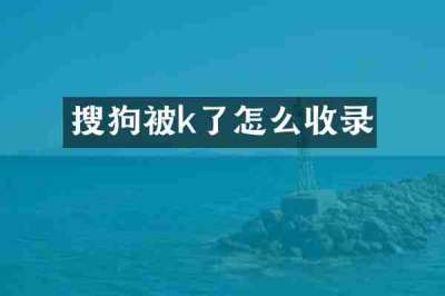 搜狗被k了怎么收录