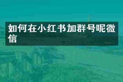如何在小红书加群号呢微信