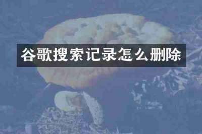 谷歌搜索记录怎么删除