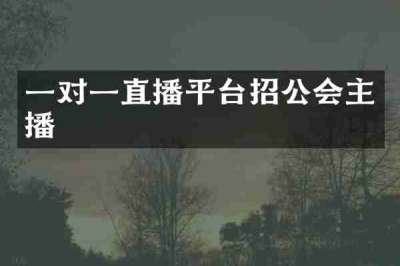 一对一直播平台招公会主播
