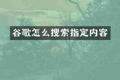 谷歌怎么搜索指定内容