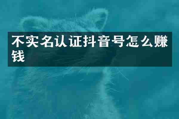 不实名认证抖音号怎么赚钱