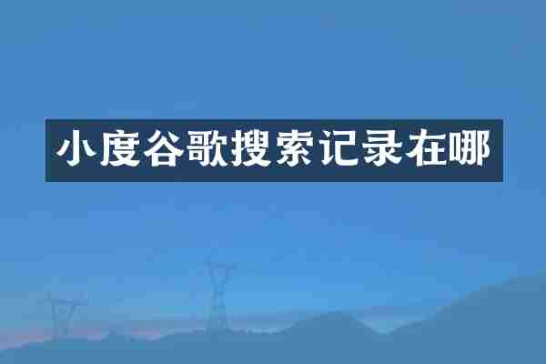 小度谷歌搜索记录在哪