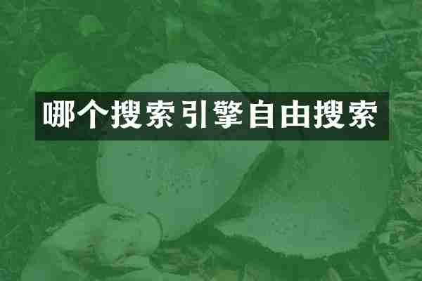 哪个搜索引擎自由搜索