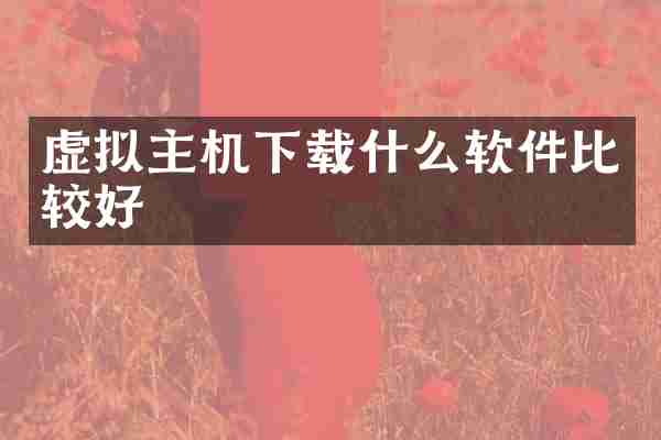 虚拟主机下载什么软件比较好