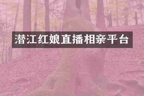 潜江红娘直播相亲平台