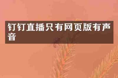 钉钉直播只有网页版有声音