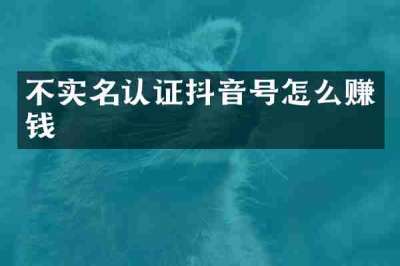 不实名认证抖音号怎么赚钱