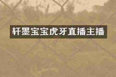 轩墨宝宝虎牙直播主播