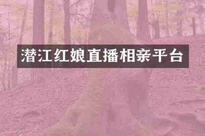 潜江红娘直播相亲平台