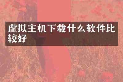 虚拟主机下载什么软件比较好