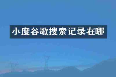 小度谷歌搜索记录在哪