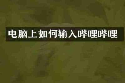 电脑上如何输入哔哩哔哩