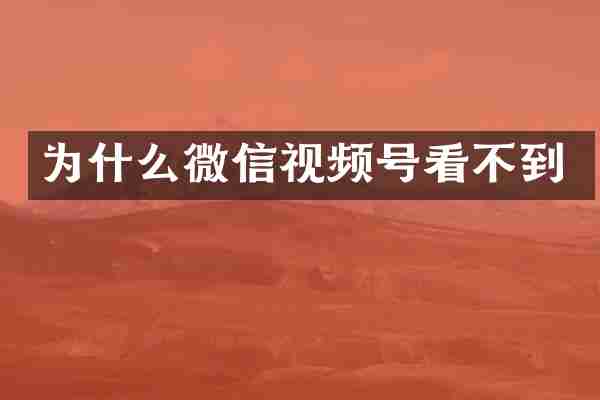 为什么微信视频号看不到