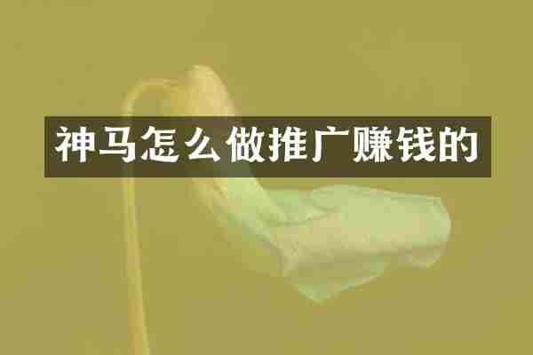 神马怎么做推广赚钱的